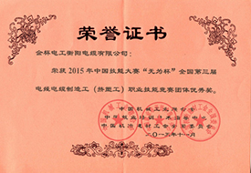 2015年度職業技能優秀獎證書.jpg